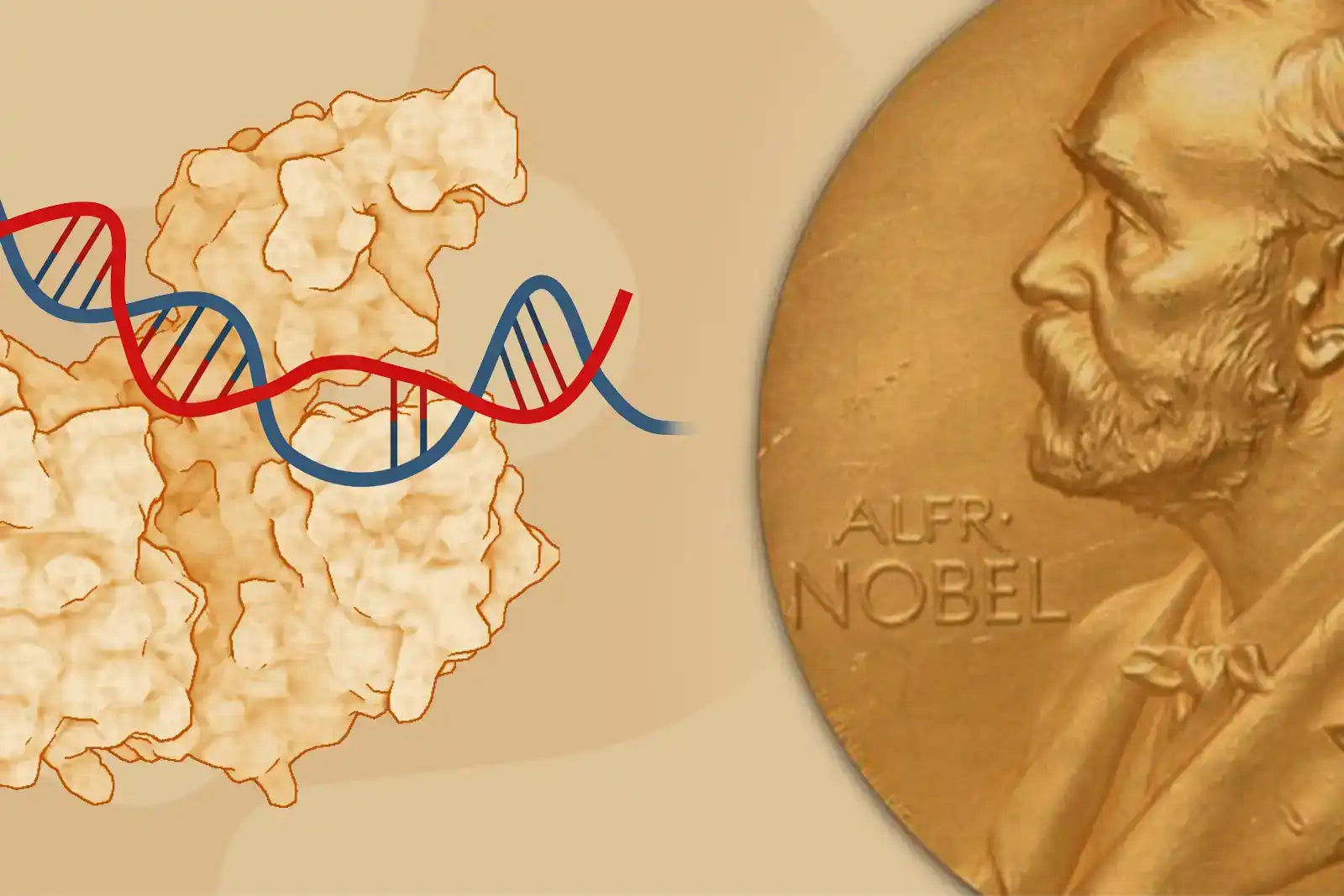 2024 Nobel Prize in Physiology & Medicine and dermaFIT
